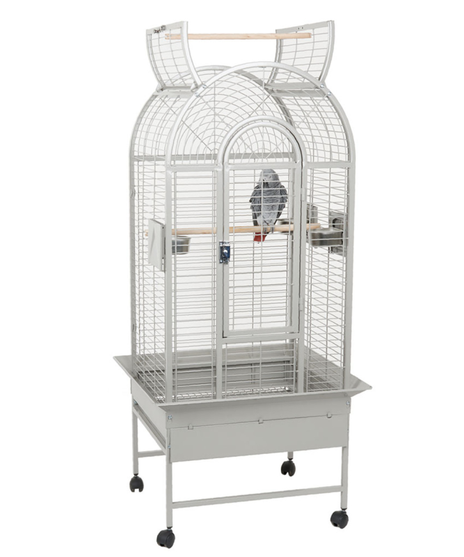 Rainforest best sale bird cage